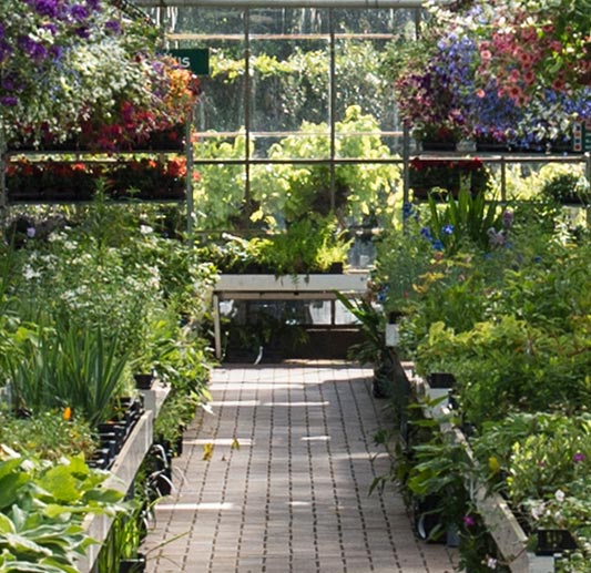 Neutkens planten- en bomencentrum