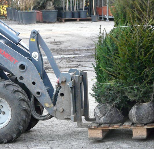 professionals bij neutkens planten- en bomencentrum