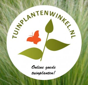 tuinplantenwinkel is de webshop van neutkens planten- en bomencentrum