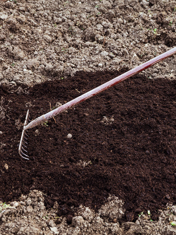 Strooi de compost uit over de aarde in uw tuin en smeer deze uit met een (blad)hark
