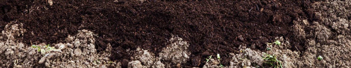 Compost bestaat volledig uit organisch materiaal en is een goede bodemverbeteraar