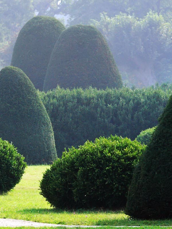 Hagen en vormgeknipte planten vormen een contrast met lossere begroeiing