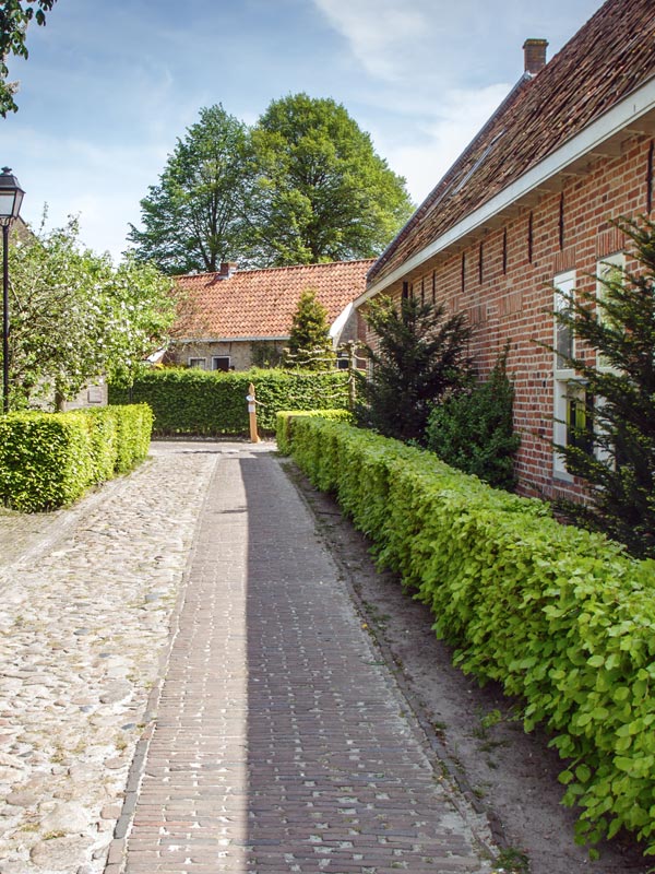 Vooral in landelijke gebieden komt de beukenhaag erg goed tot zijn recht