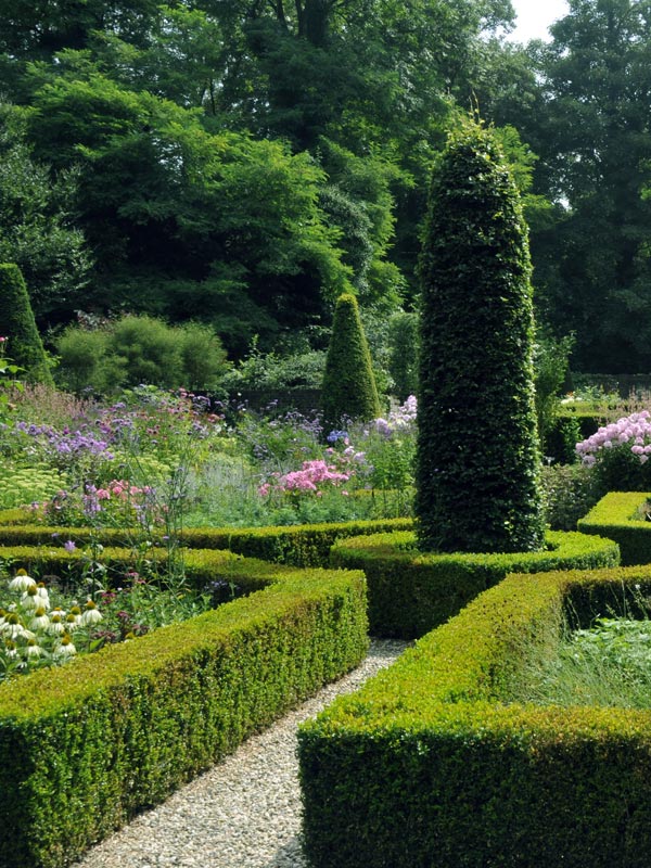 Hier vormen hagen voor een afrastering van de borders