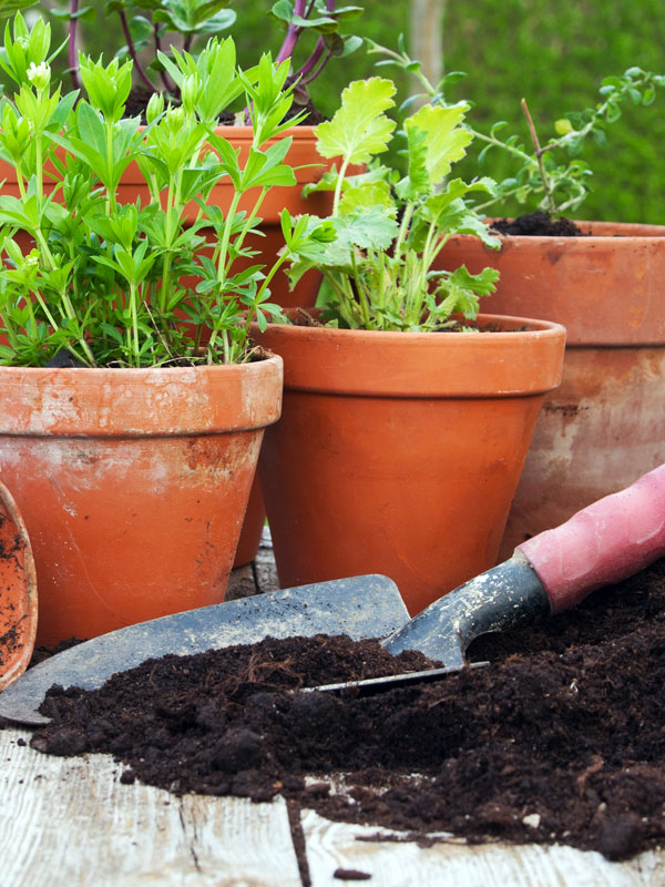 Tuinbenodigdheden koopt u gemakkelijk en snel op Tuinplantenwinkel.nl