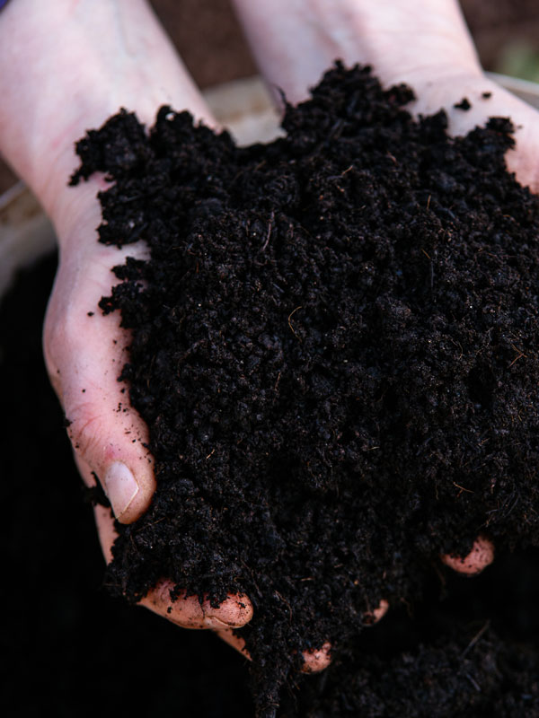 Compost zorgt voor een betere vochthuishouding van de aarde en bevat veel voedingsstoffen