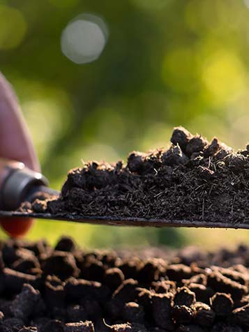 organische mest is de beste bemesting en niet hetzelfde als kunstmest 