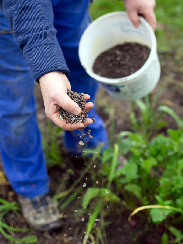De juiste bemesting zorgt ervoor dat u optimaal van uw tuin kunt genieten. Deze bemesting vindt u online op Tuinplantenwinkel.nl