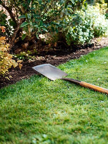 Gebruik compost voor het verrijken van uw border en tuin