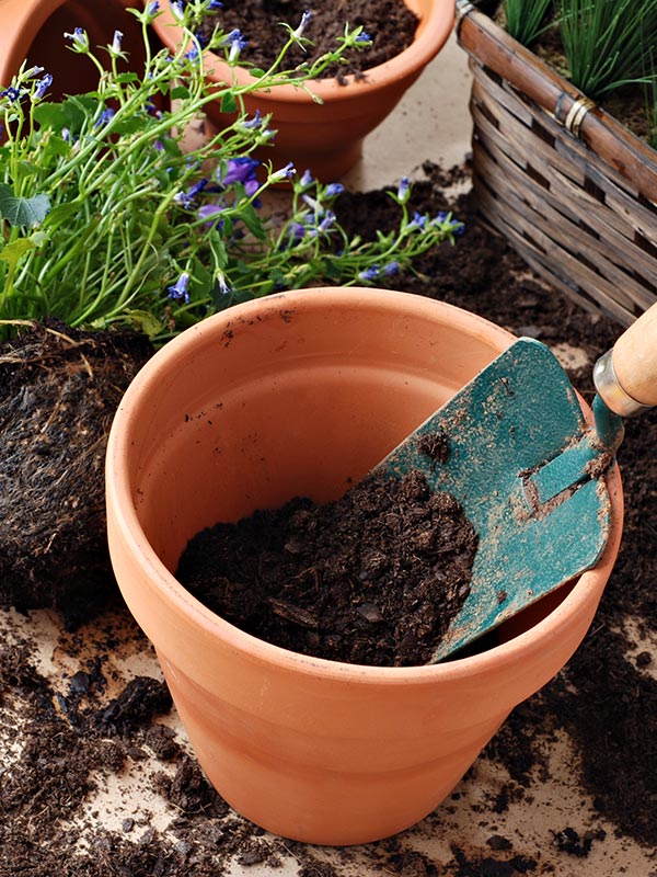 Potgrond zijn er in verschillende soorten combineer het samen met hydrokorrel onderin de pot of bloembak