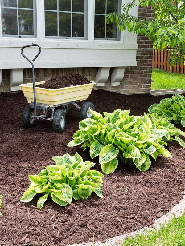 Zorg voor humusrijke grond in de borders