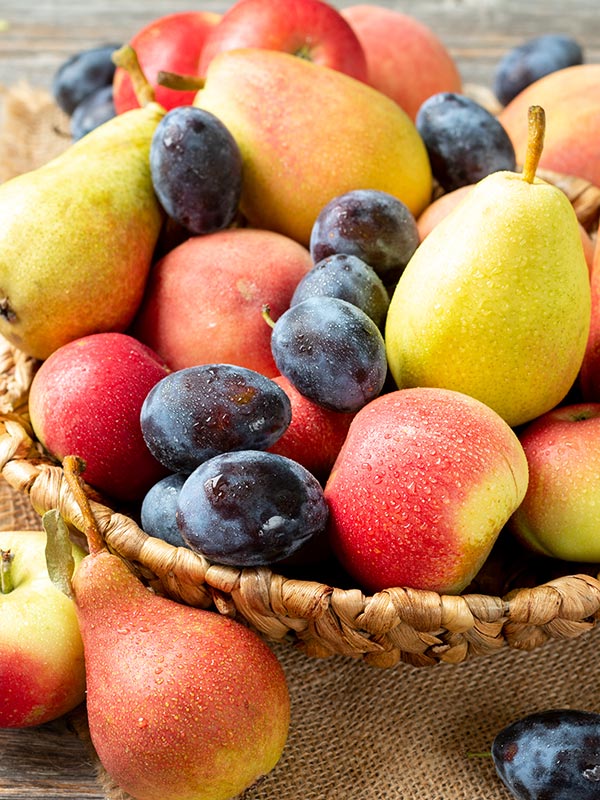 Van mini fruitbomen plukt u dezelfde smaakvolle vruchten als van grote fruitbomen