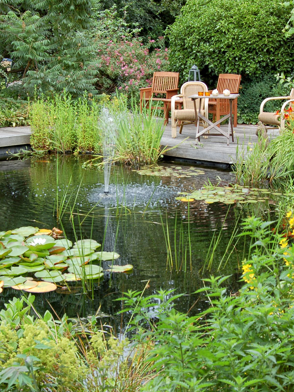 Planten zorgen voor een natuurlijk beeld van de vijver en dragen bij aan de waterkwaliteit