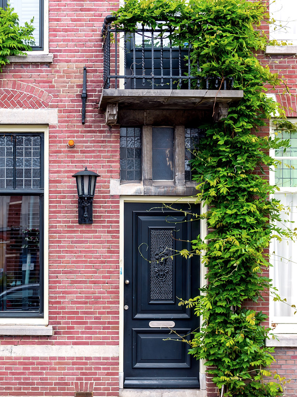 Klimplanten nemen relatief weinig plek in beslag zodat ze tegen de voorzijde van het huis geplaatst kunnen worden