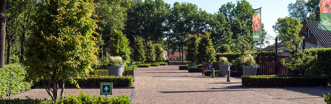 Ruime parkeergelegenheid bij Neutkens- planten en bomencentrum