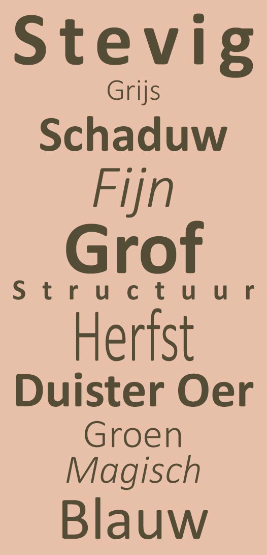 Bladplanten - structuur - groen - grijs - oer - stevig - grof - herfst - duister