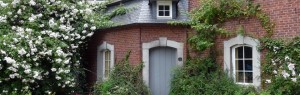 rozen kopen bij Neutkens