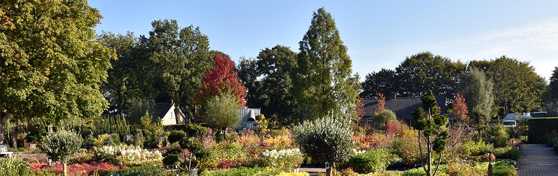 ons plantencentrum in het najaar